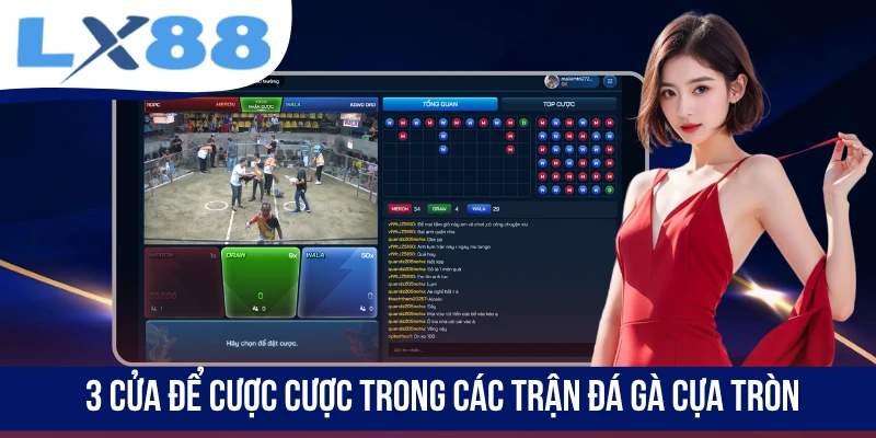 Đá Gà Cựa Tròn - Mãn Nhãn Với Những Trận Đấu Đỉnh Cao