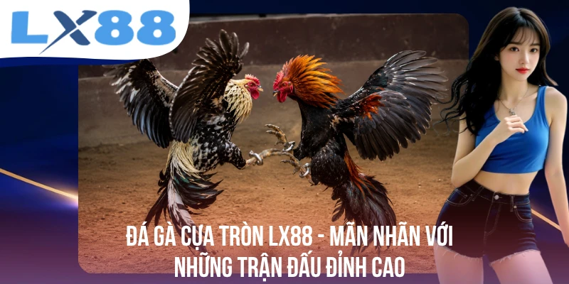 Blog Cá Cược LX88 - Cẩm Nang Kiến Thức Hữu Ích Cho Hội Viên