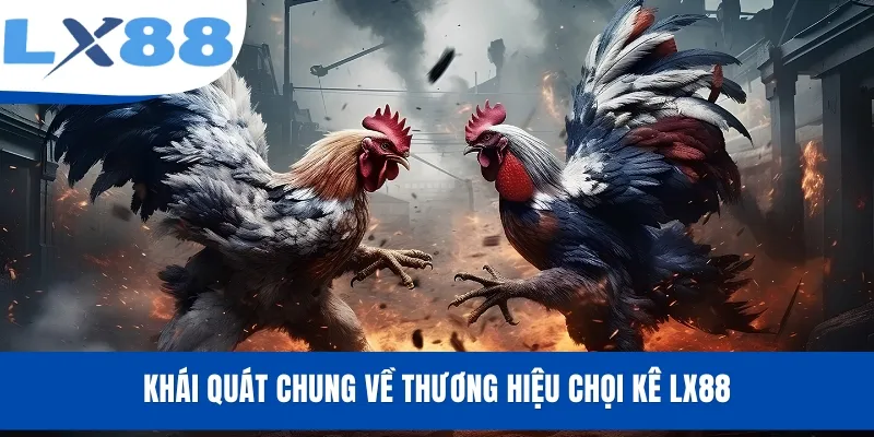 Đá Gà LX88 - Xem Livestream, Cược Trận Đấu Kịch Tính