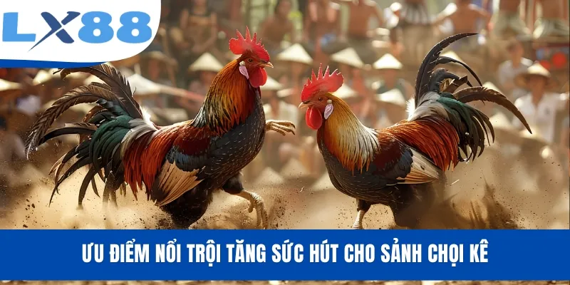 Đá Gà LX88 - Xem Livestream, Cược Trận Đấu Kịch Tính