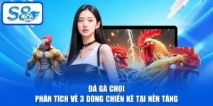 Đá Gà S8 - Khám Phá Sảnh Chọi Hấp Dẫn Với 50+ Trận/ngày