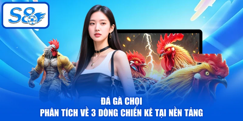 Đá Gà Chọi - Phân Tích Về 3 Dòng Chiến Kê Tại Nền Tảng Đá Gà Chọi - Phân Tích Về 3 Dòng Chiến Kê Tại Nền Tảng