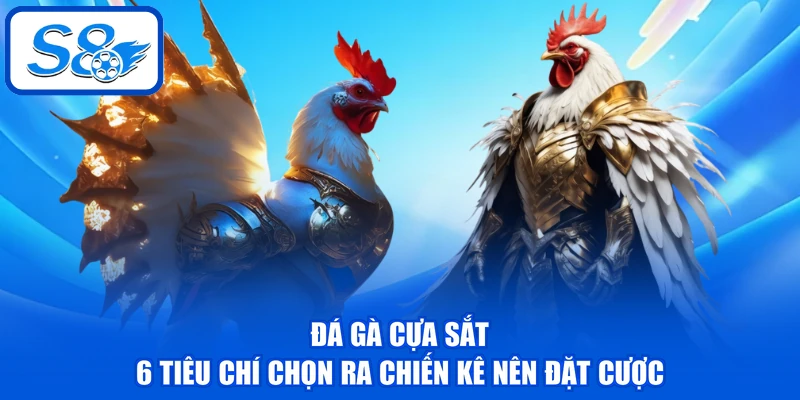 Đá Gà Cựa Sắt - 6 Tiêu Chí Chọn Ra Chiến Kê Nên Đặt Cược Đá Gà Cựa Sắt - 6 Tiêu Chí Chọn Ra Chiến Kê Nên Đặt Cược