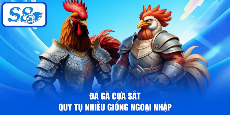 Đá Gà Cựa Sắt - 6 Tiêu Chí Chọn Ra Chiến Kê Nên Đặt Cược Đá Gà Cựa Sắt - 6 Tiêu Chí Chọn Ra Chiến Kê Nên Đặt Cược