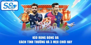 Thể Thao S8 - Các Lý Do Nổi Bật Thu Hút Đông Đảo Hội Viên