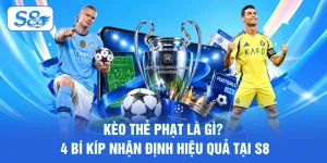 Thể Thao S8 - Các Lý Do Nổi Bật Thu Hút Đông Đảo Hội Viên
