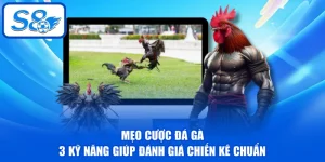 Đá Gà S8 - Khám Phá Sảnh Chọi Hấp Dẫn Với 50+ Trận/ngày