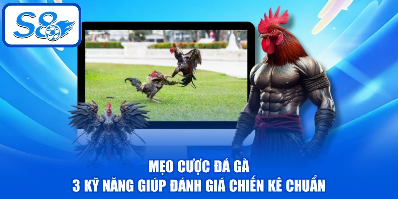 Mẹo Cược Đá Gà - 3 Kỹ Năng Giúp Đánh Giá Chiến Kê Chuẩn Mẹo Cược Đá Gà - 3 Kỹ Năng Giúp Đánh Giá Chiến Kê Chuẩn