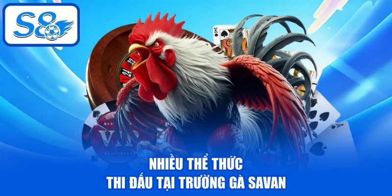 Trường Gà Savan - Điểm Đến Hấp Dẫn Cho Mọi Hội Viên S8 Trường Gà Savan - Điểm Đến Hấp Dẫn Cho Mọi Hội Viên S8