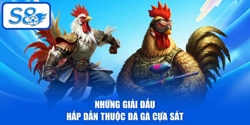 Đá Gà Cựa Sắt - 6 Tiêu Chí Chọn Ra Chiến Kê Nên Đặt Cược Đá Gà Cựa Sắt - 6 Tiêu Chí Chọn Ra Chiến Kê Nên Đặt Cược