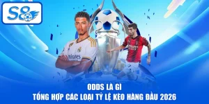 Thể Thao S8 - Các Lý Do Nổi Bật Thu Hút Đông Đảo Hội Viên