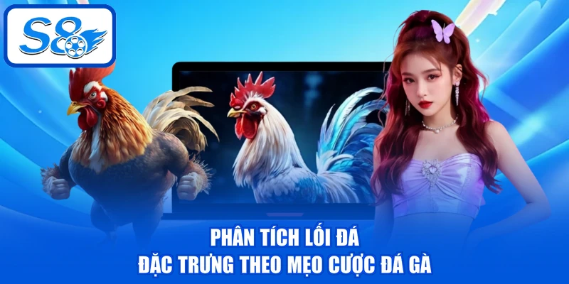 Mẹo Cược Đá Gà - 3 Kỹ Năng Giúp Đánh Giá Chiến Kê Chuẩn Mẹo Cược Đá Gà - 3 Kỹ Năng Giúp Đánh Giá Chiến Kê Chuẩn