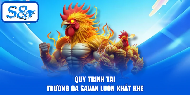 Trường Gà Savan - Điểm Đến Hấp Dẫn Cho Mọi Hội Viên S8 Trường Gà Savan - Điểm Đến Hấp Dẫn Cho Mọi Hội Viên S8