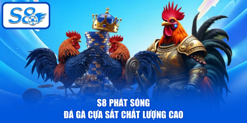 Đá Gà Cựa Sắt - 6 Tiêu Chí Chọn Ra Chiến Kê Nên Đặt Cược Đá Gà Cựa Sắt - 6 Tiêu Chí Chọn Ra Chiến Kê Nên Đặt Cược