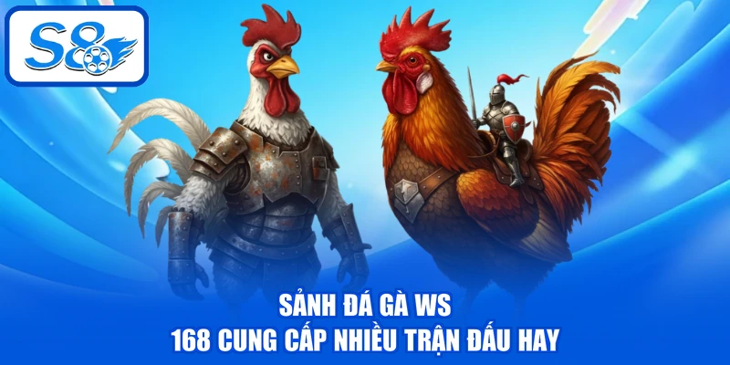 Đá Gà WS 168 - Sảnh Chọi Kê Chuyên Nghiệp Hàng Đầu Tại S8 Đá Gà WS 168 - Sảnh Chọi Kê Chuyên Nghiệp Hàng Đầu Tại S8