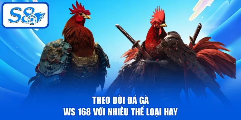 Đá Gà WS 168 - Sảnh Chọi Kê Chuyên Nghiệp Hàng Đầu Tại S8 Đá Gà WS 168 - Sảnh Chọi Kê Chuyên Nghiệp Hàng Đầu Tại S8