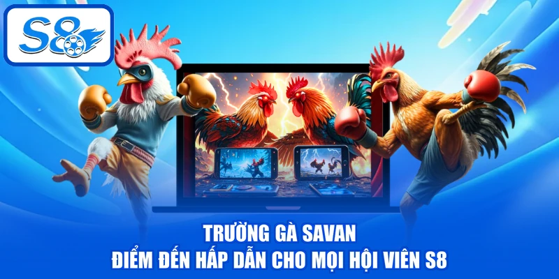 Trường Gà Savan - Điểm Đến Hấp Dẫn Cho Mọi Hội Viên S8 Trường Gà Savan - Điểm Đến Hấp Dẫn Cho Mọi Hội Viên S8