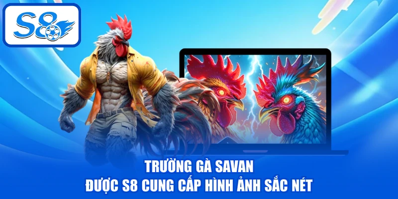 Trường Gà Savan - Điểm Đến Hấp Dẫn Cho Mọi Hội Viên S8 Trường Gà Savan - Điểm Đến Hấp Dẫn Cho Mọi Hội Viên S8